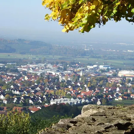 Ferienhaus Mayer In Der Sonnigen Ortenau Oberkirch  Exterior photo